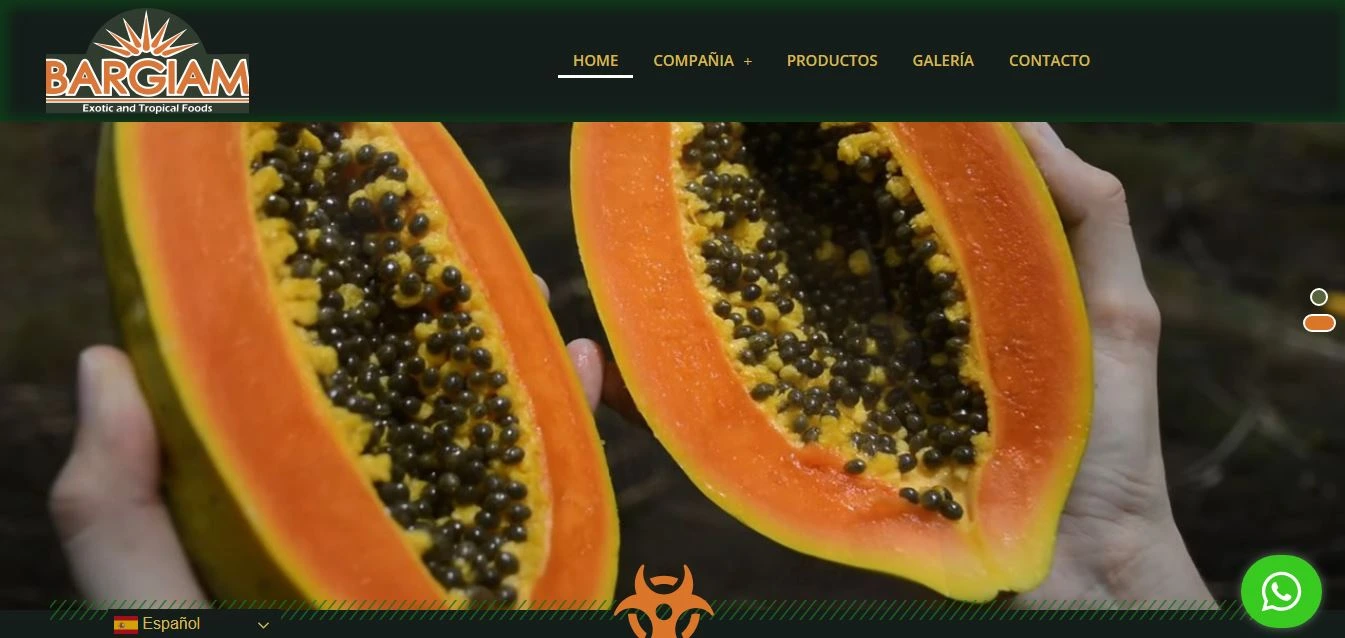 Bargiam Web Page